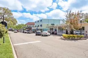 952 Virginia St, Dunedin, FL 34698 - Photo 25