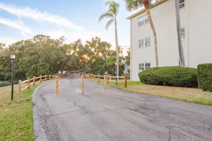 952 Virginia St, Dunedin, FL 34698 - Photo 21