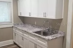 318 E Tarpon Ave, Tarpon Springs, FL 34689 - Photo 9