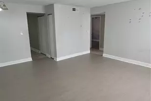 12403 Hibiscus Oak Pl, Tampa, FL 33612 - Photo 3