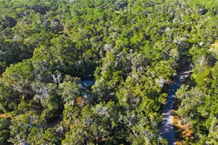 7999 SW 187th Ave, Dunnellon, FL 34432 - Photo 37