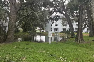 7218 E Bank Dr, Tampa, FL 33617 - Photo 25