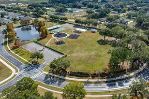 31403 Bridgegate Dr, Wesley Chapel, FL 33545 - Photo 57