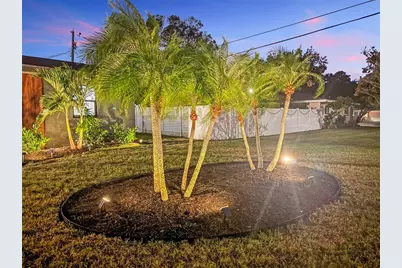 1441 Fairway Drive, Dunedin, FL 34698 - Photo 59