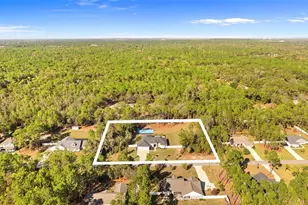 15547 Sago Dr, Brooksville, FL 34604 - Photo 59