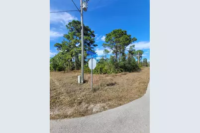 236 Pinola Avenue S, Lehigh Acres, FL 33974 - Photo 3