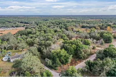 10209 Sybil Lane, Hudson, FL 34667 - Photo 15