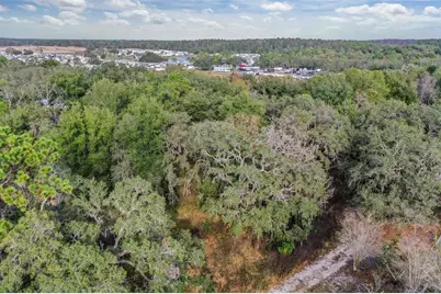 10209 Sybil Lane, Hudson, FL 34667 - Photo 11