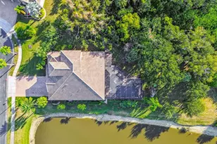 372 Coco Plum Ct, Oldsmar, FL 34677 - Photo 57