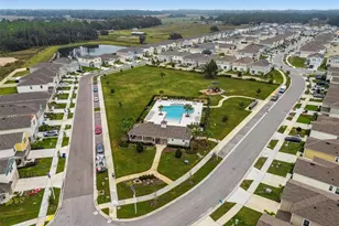 34245 Verbena St, Wesley Chapel, FL 33545 - Photo 39