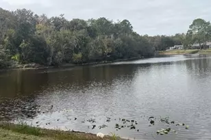 440 Lakeview Dr, Oldsmar, FL 34677 - Photo 43