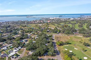 951 Greenway Ave, Dunedin, FL 34698 - Photo 109