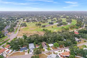 951 Greenway Ave, Dunedin, FL 34698 - Photo 95