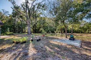 6521 Secrest Ct, Tampa, FL 33625 - Photo 35