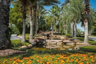 331 Cedar Falls Dr, Apollo Beach, FL 33572 - Photo 63