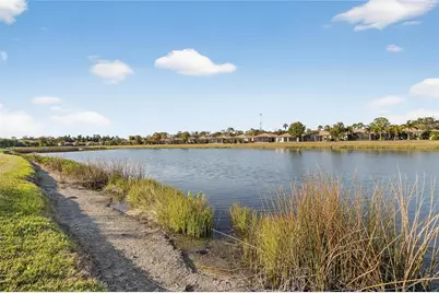 331 Cedar Falls Drive, Apollo Beach, FL 33572 - Photo 49