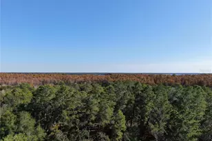 2243 Andover Cir, Palm Harbor, FL 34683 - Photo 41