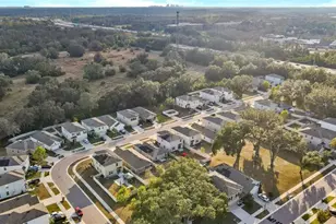 9032 Water Chestnut Dr, Tampa, FL 33637 - Photo 33