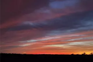 17165 Lake Iola Rd, Dade City, FL 33523 - Photo 77