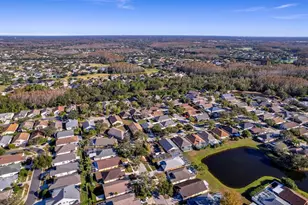 4527 New Dawn Ct, Lutz, FL 33558 - Photo 55