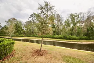 17620 Nectar Flume Dr, Land O Lakes, FL 34638 - Photo 37