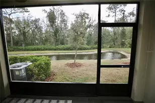 17620 Nectar Flume Dr, Land O Lakes, FL 34638 - Photo 17