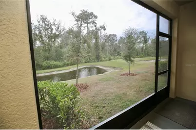 17620 Nectar Flume Drive, Land O Lakes, FL 34638 - Photo 19