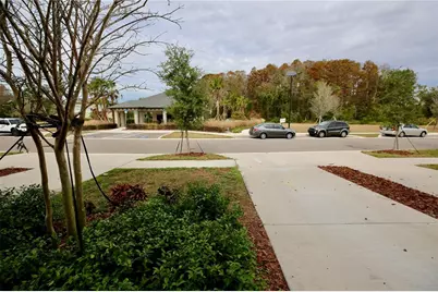 17620 Nectar Flume Drive, Land O Lakes, FL 34638 - Photo 43