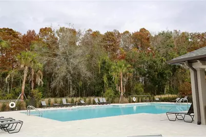 17620 Nectar Flume Drive, Land O Lakes, FL 34638 - Photo 39