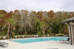 17620 Nectar Flume Dr, Land O Lakes, FL 34638 - Photo 39