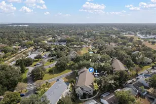 2843 Thaxton Dr, Palm Harbor, FL 34684 - Photo 53