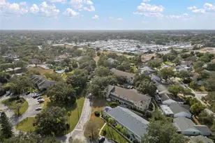 2843 Thaxton Dr, Palm Harbor, FL 34684 - Photo 61