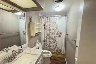 539 Mt Piney Ave NE, Saint Petersburg, FL 33702 - Photo 9