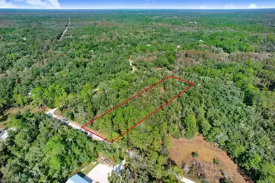 7292 Sonia Avenue, Webster, FL 33597 - Photo 9