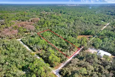 7292 Sonia Avenue, Webster, FL 33597 - Photo 7