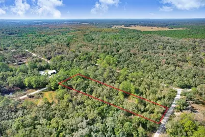 7292 Sonia Avenue, Webster, FL 33597 - Photo 3