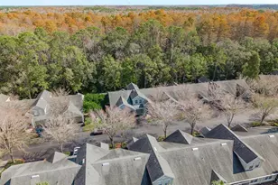 3521 Kings Rd, Palm Harbor, FL 34685 - Photo 31