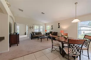 12116 Echo Basin Cove, Riverview, FL 33579 - Photo 9