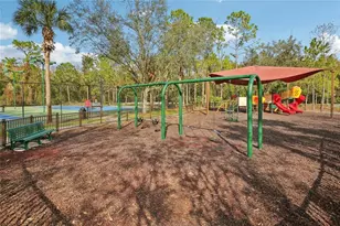 30352 Elderwood Dr, Wesley Chapel, FL 33543 - Photo 19