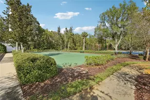30352 Elderwood Dr, Wesley Chapel, FL 33543 - Photo 23