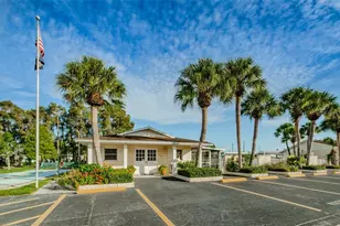 1055 Loch Haven Dr S, Dunedin, FL 34698 - Photo 43