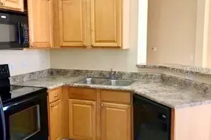 10538 Villa View Cir, Tampa, FL 33647 - Photo 3