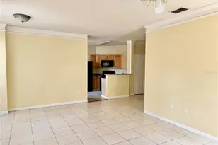 10538 Villa View Cir, Tampa, FL 33647 - Photo 11