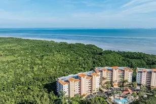 12033 Gandy Blvd N, Saint Petersburg, FL 33702 - Photo 29