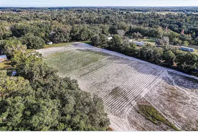 4822 Nesmith Road, Plant City, FL 33567 - Photo 3