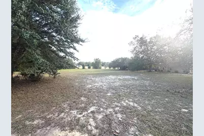 756 E Bismark Street, Hernando, FL 34442 - Photo 17