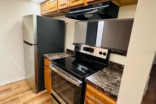 4411 Shady Terrace Ln, Tampa, FL 33613 - Photo 3