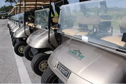 29290 Grass Bunker Drive, San Antonio, FL 33576 - Photo 61