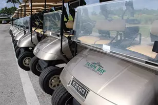 29290 Grass Bunker Dr, San Antonio, FL 33576 - Photo 61