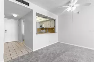 6279 Sun Blvd, Saint Petersburg, FL 33715 - Photo 9